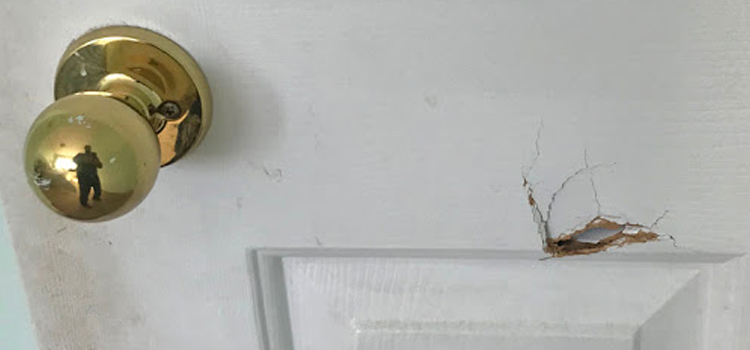interior door hole repair French Valley